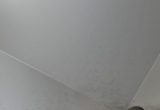 1000 liter tank i Rostfritt 304