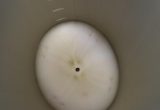 1000 liter tank i Syrafast 316