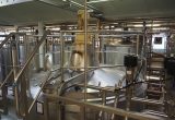 10000 liter tank i Rostfritt 304