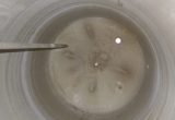 1350 liter tank i Syrafast 316