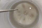1350 liter tank i Syrafast 316
