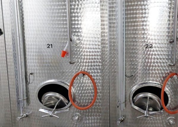 17813_20230628_095444_1