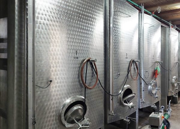 17819_20230628_095619_8