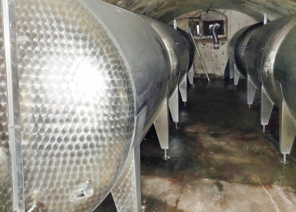 17833_20230628_100258_1024x1024_