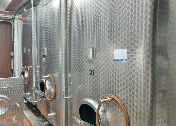 17837_20230628_100018_1024x1024_