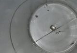 20000 liter tank i Rostfritt 304