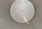 3000 liter tank i Rostfritt 304