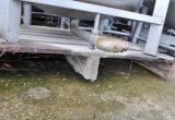 500 liter tank i Rostfritt 304