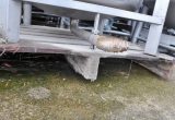 500 liter tank i Rostfritt 304