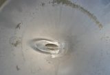 500 liter tank i Rostfritt 304