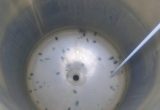 600 liter tank i Syrafast 316