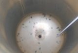 600 liter tank i Syrafast 316