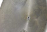 6800 liter tank i Syrafast 316