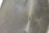 6800 liter tank i Syrafast 316