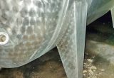 8840 liter tank i Rostfritt 304